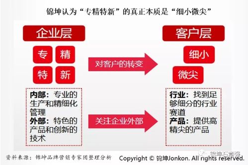 連鎖與互聯(lián)網(wǎng)品牌營銷專家 互聯(lián)網(wǎng)銷售的未來之路